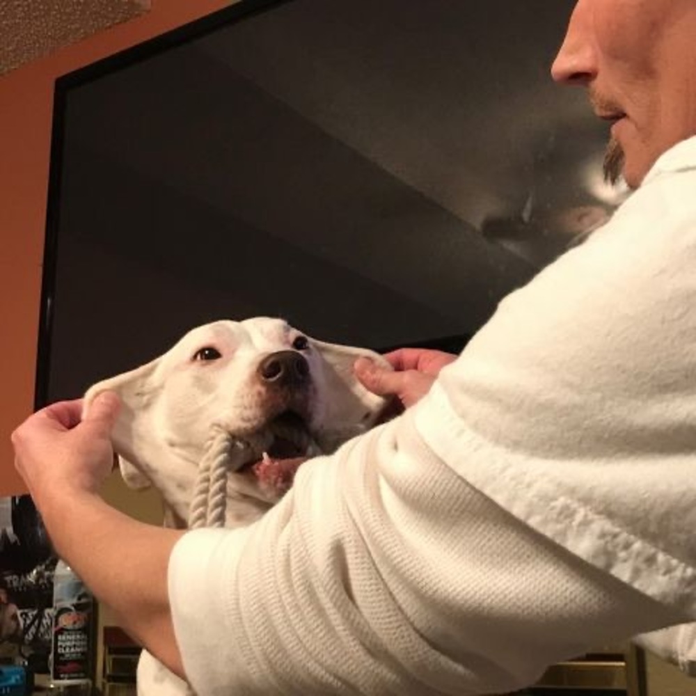 Meet your Posher, Ben